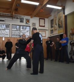 Bujinkan: Living-Warrior Dojo