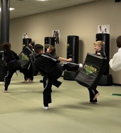 Premier Martial Arts of South Charlotte
