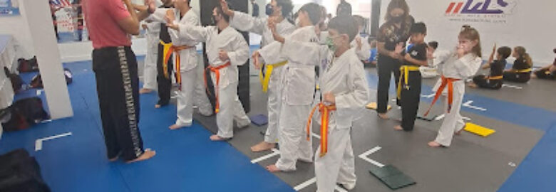 Martial Arts System (Kendall Hammocks)