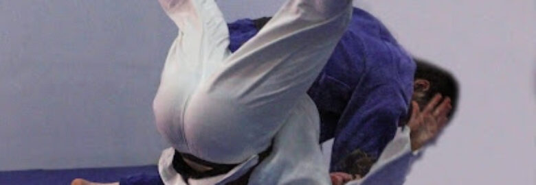 Des Moines Judo & Sambo Academy