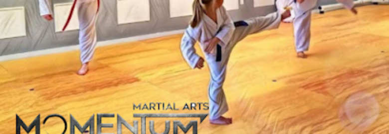 Momentum Martial Arts and Iron Dragon Kung Fu/ Tai Chi