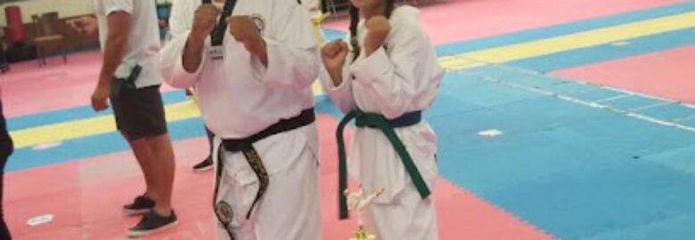 LI World Taekwondo Academy