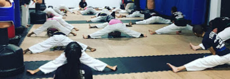 Tigers Martial Arts Academy – TMAA