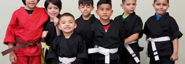 Texas Karate Academy