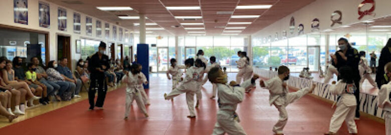 Tiger Woo’s World Class Tae kwon do & Family Martial Arts