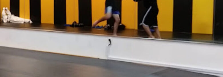 Yasuke Dojo