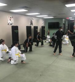 Premier Martial Arts  Decatur East