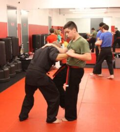 Sandoval Freestyle Karate