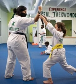 K Martial Arts