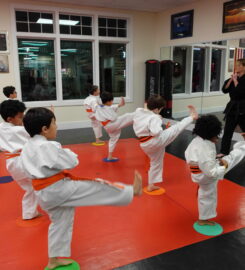 Faustini’s Institute of Martial Arts and Fitness