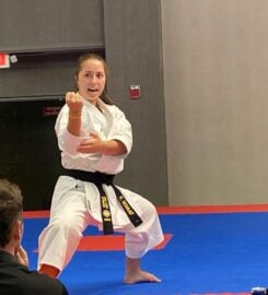 Ultimate Martial Arts Hudson