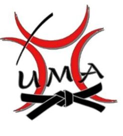Ultimate Martial Arts Hudson