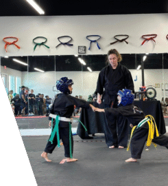 Lone Star Martial Art Center