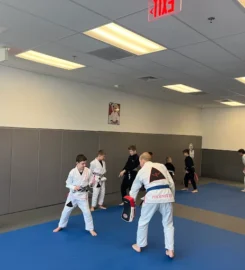 Phoenix BJJ