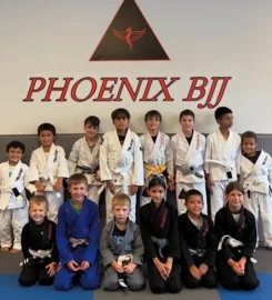 Phoenix BJJ