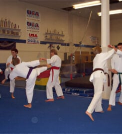 Yama Arashi Ryu