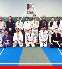 Phoenix BJJ