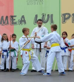 Victory Martial Arts Middletown NY